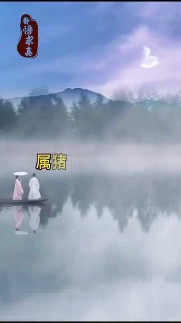 属猪的最佳婚配属什么属相(属猪最佳配偶的属相是什么 )