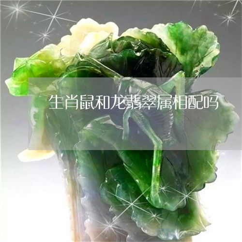生肖鼠和龙属相配对好不好(老鼠和大龙属相合不合,生肖属龙跟属鼠相配吗 )