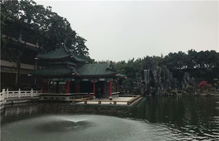 志字的数理(苏姓志字背要金字旁起什么名字好 男孩 )