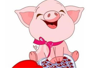 属猪的婚配属相表(属猪的属相婚配表详解)