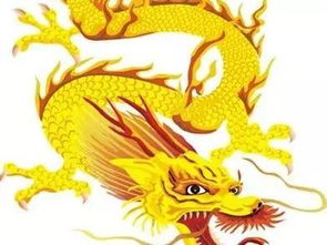 十二生肖中的龙虎属相是谁配的(十二生肖最佳姻缘配对龙,在十二生肖中虎和龙有哪些可以相配的 )