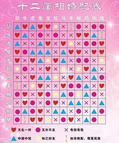 12属相牛婚配表(属牛的最佳婚配表)
