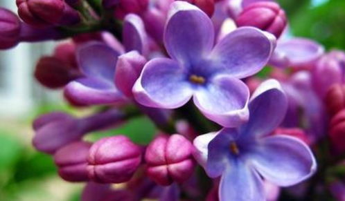 五行数理查手机号(手机号码数字测吉凶)