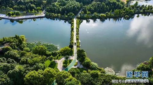 计字在古代查数理是几画(计字笔顺)