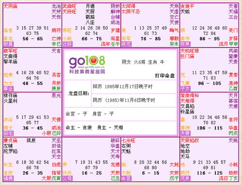 紫微星在午命宫在午(紫微命盘解析 紫微星在子 午)