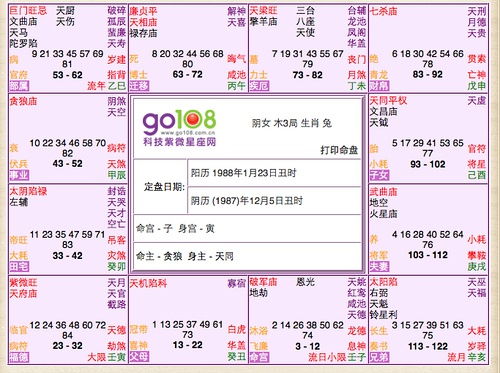 癌症病人的紫微命盘(紫微星命盘怎么看)