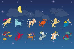 星座的最佳婚配属相(十二生肖最佳姻缘配对十二星座,十二星座最佳配对是什么 )