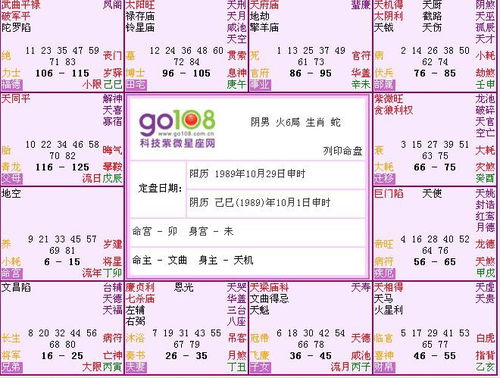 命宫空宫紫微命盘举例(空宫的紫微命盘)