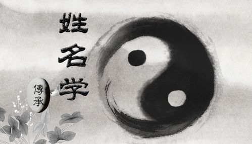 姓名数理151719(请分析一下这个名字)