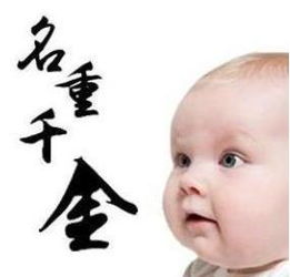 数理17的属金的字(十七画属金的字)