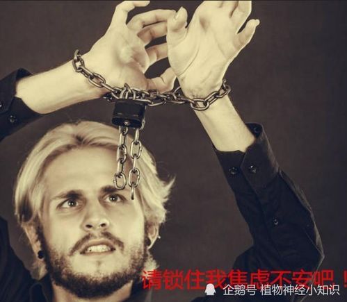 五行九九八十一数理解释(81数理吉凶是什么时候开始的 )