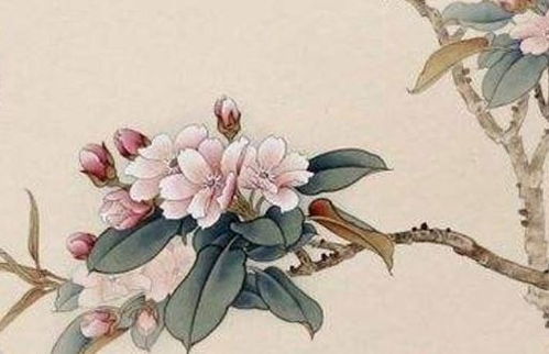 女生肖狗婚配最佳属相(女属狗的和什么属相最配女方属狗配什么属相好)