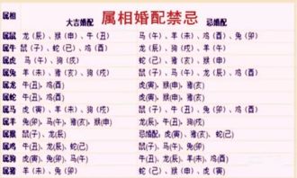 93猴的属相婚配表(93年属蛇的属相婚配,93年属什么生肖配对)