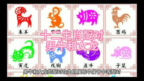 属相配对男龙和女牛(生肖属龙男和生肖属女牛配对资料详情)