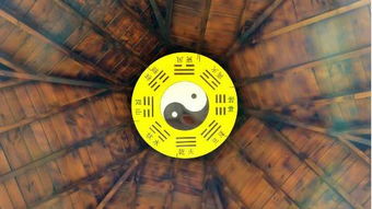 日月旺紫微盘(紫薇星盘怎么看)