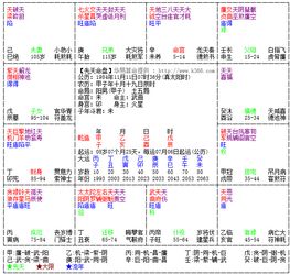 免费台灣紫微命盘排盘(紫微斗数飞星排盘)