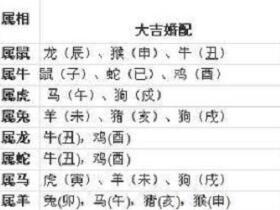 97年9月最佳婚配属相(97年9月26日男性牛人的婚配是什么属相)