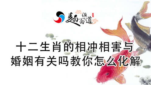 属相配对相害如何化解(母亲属羊孩子属鼠好吗子未相害如何化解)