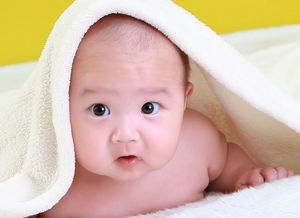 名字数理有阴阳区分吗(名字怎样算数理平衡)