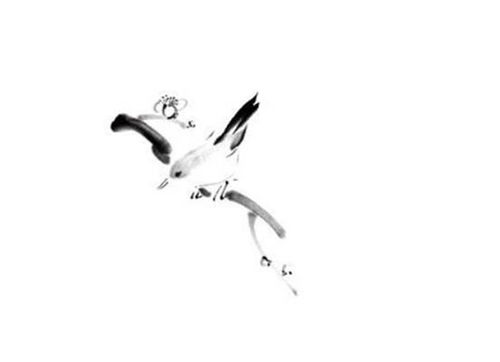 99年兔男的最佳婚配属相(1999年属兔男最佳婚配,属兔男的适合婚配属相)