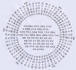 乙酉配对姻缘(丙寅月柱乙酉日柱女命婚姻好吗)