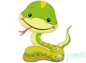 生肖蛇男跟什么属相最配(男属蛇和什么属相最配)