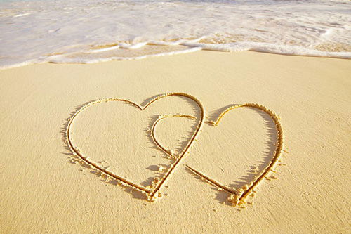 猪狗属相姻缘配对指数(男猪女狗在一起好不好)