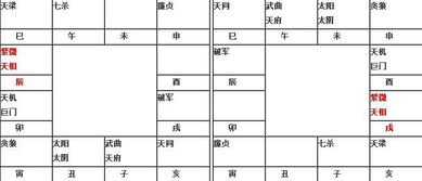 紫微与天相的关系(紫微天相)