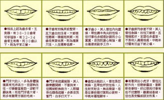 牙不好八字算命(牙齿看命运 牙齿面相学)