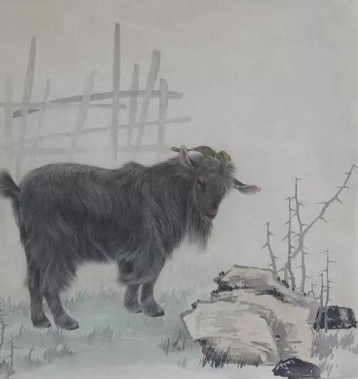 羊属相配对图片大全集解析(属羊的婚配属相,羊的配对属相婚配表)