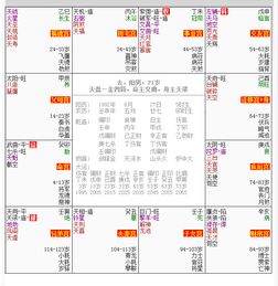 神巴巴紫微命盘排盘(请专业人士帮忙分析一下八字和紫微排盘。)