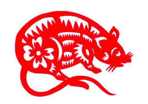 生肖鼠和什么属相克配婚姻(鼠和什么生肖最配相克)