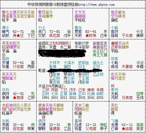 关于紫微斗数排盘阳女的信息(请问大家我的紫薇命盘的意思是什么)