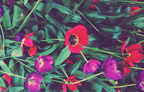 荣字在81画数理吉凶(荣字五行属什么)