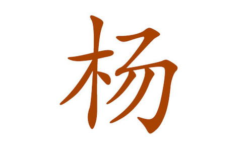 做梦梦到算命说自己的姻缘好(梦见算命算自己和前男友有缘分)