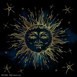 紫微星是紫微命宫吗(求高人看下紫薇命盘)