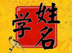 涵字寓意数理(为什么名字带涵不好 涵在名字里的寓意吉凶起名忌讳什么)