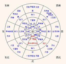 五行数理21和25(双色球数字分别对应什么五行呢 )
