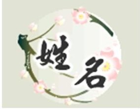 王姓名数理笔画大吉组合(王喜双名字有什么寓意)