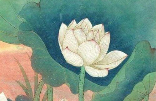 生肖鸡和什么属相最配男(男属鸡与属什么相配)