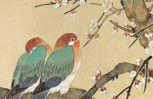 生肖牛和哪个属相最配婚(生肖属牛的最佳配偶)