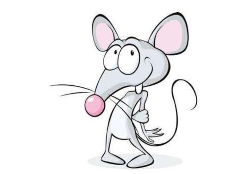 天蝎座女最佳婚配属相(2000年生肖龙的天蝎女和什么属相最配)