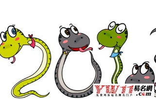 生肖蛇最相配的属相(属蛇和什么属相最配)