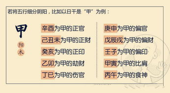 易经八字排盘算命自学(算卦怎么自学手指)