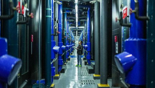 罗丹妮数理五格分析(男生的姓名)