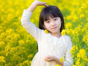 虎年徐姓女孩取名最佳数理(徐姓女孩取名)