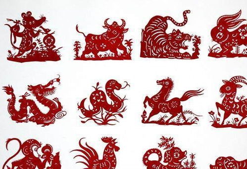 羊龙属相婚配表(曾仕强谈生肖属相婚配表,生肖龙配对属相婚配表)