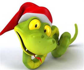 属蛇的男人属相婚配表(属蛇男和什么属相配)