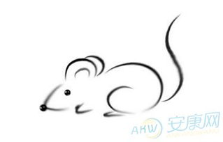 属鼠女属相婚配表(鼠女最佳婚配前十名属相,女属鼠配什么属相最合适)