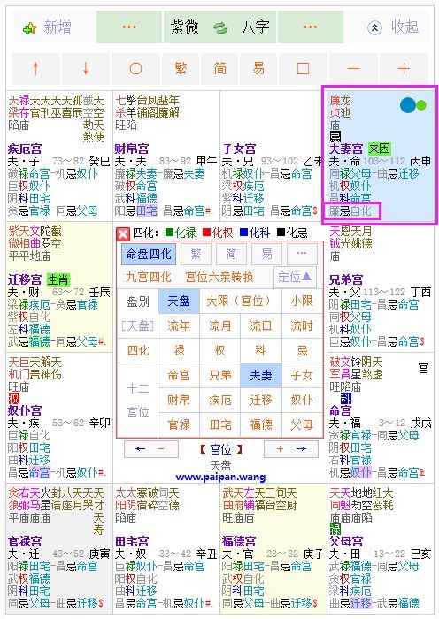 空亡在夫妻宫紫微斗数(紫微命盘夫妻宫变动是什么意思 )